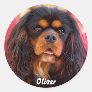 Black and Tan Cavalier King Charles Spaniel Dog Classic Round Sticker