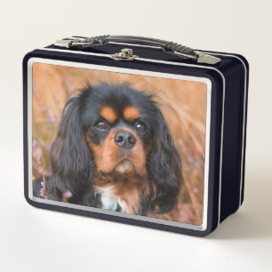 Black and Tan Cavalier King Charles Spaniel Dog Metal Lunch Box