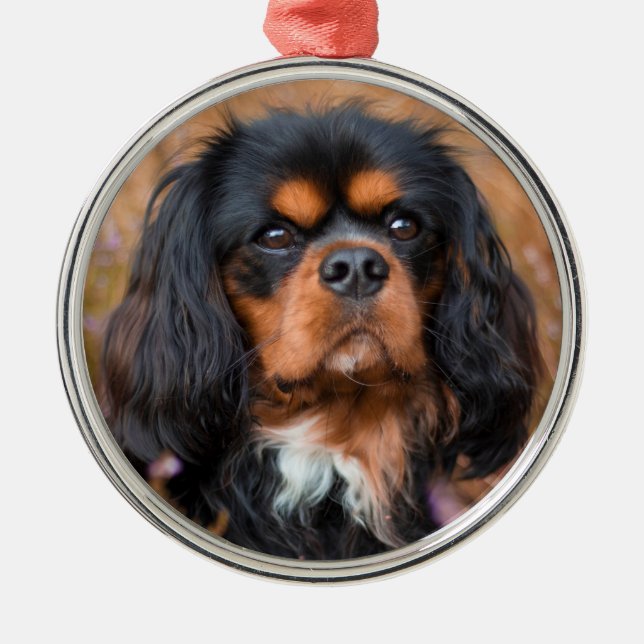 Black and Tan Cavalier King Charles Spaniel Dog Metal Tree Decoration (Front)