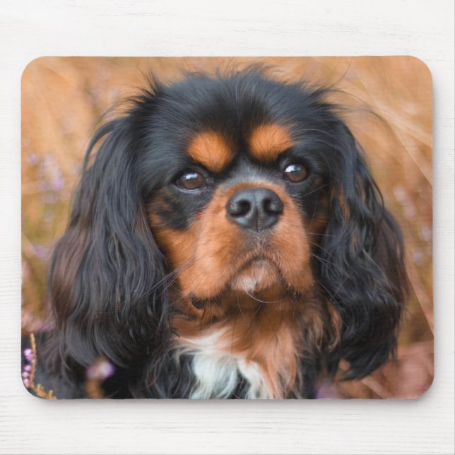 Black and Tan Cavalier King Charles Spaniel Dog Mouse Mat (Front)