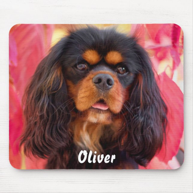 Black and Tan Cavalier King Charles Spaniel Dog Mouse Mat (Front)