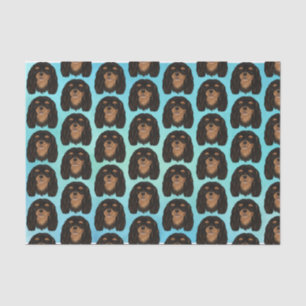 Black and Tan Cavalier King Charles Spaniel Gift Tissue Paper