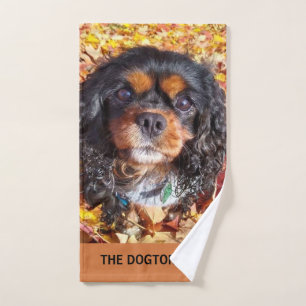 Black and Tan Cavalier King Charles Spaniel Hand Towel