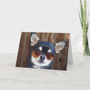 Black and tan Chihuahua greeting card