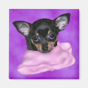 Black and Tan Chihuahua Puppy Magnet