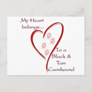 Black and Tan Coonhound Heart Belongs Postcard