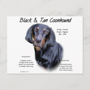 Black and Tan Coonhound History Postcard