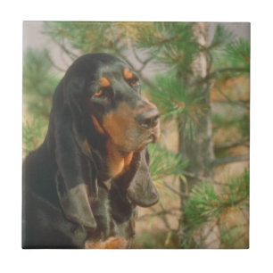 Black and Tan Coonhound Tile