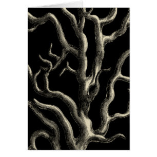 Black and Tan Coral