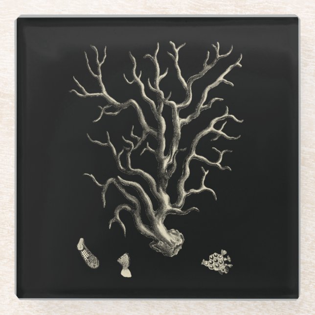 Black and Tan Coral Glass Coaster (Front)