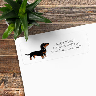 Black and Tan Dachshund Posing