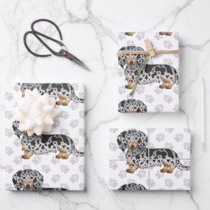 Black And Tan Dapple Long Hair Dachshund & Paws Wrapping Paper Sheet