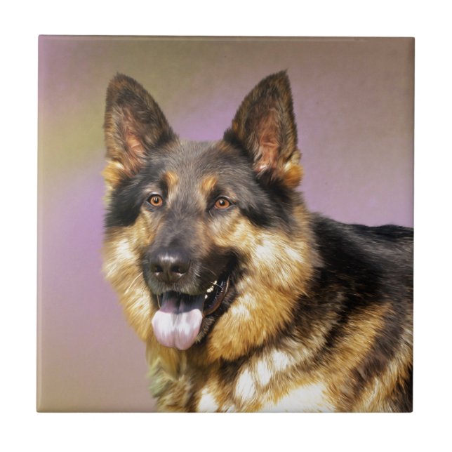 Black and Tan GSD Tile (Front)