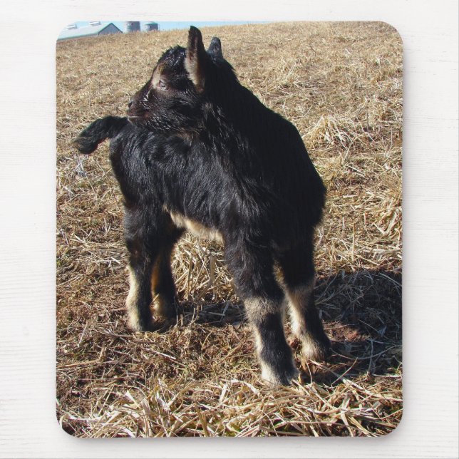 Black and Tan Kid Mouse Mat (Front)