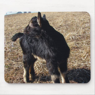 Black and Tan Kid Mouse Mat