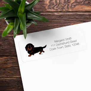 Black and Tan Long Haired Dachshund 1