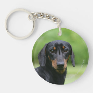 Black and Tan Miniture Dachshund 1 Key Ring