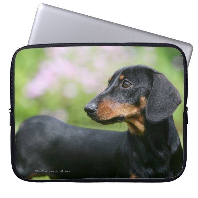 Black and Tan Miniture Dachshund 2 Laptop Sleeve (Front)