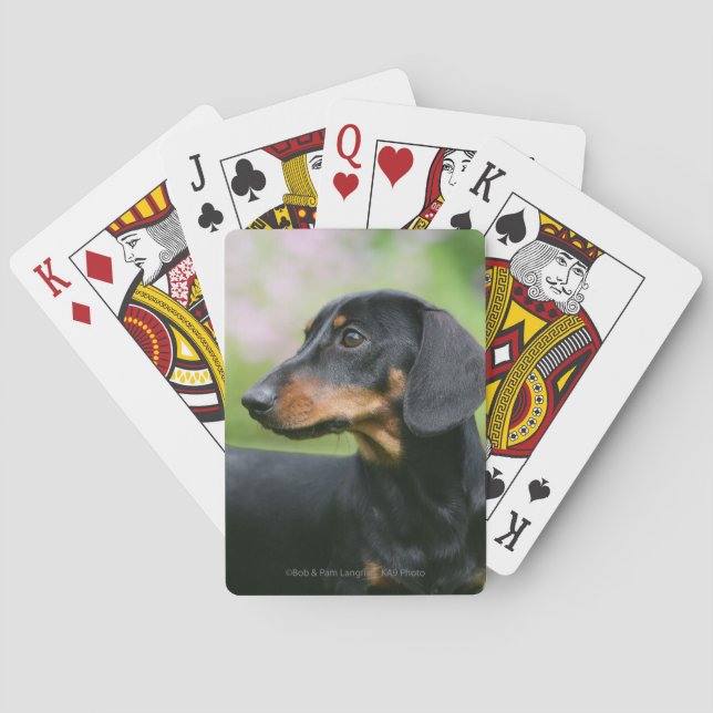Black and Tan Miniture Dachshund 2 Playing Cards (Back)