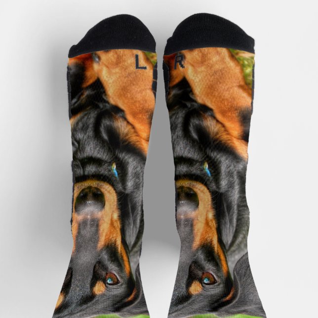 Black and Tan Smooth Dachshund Photo Socks (Top)