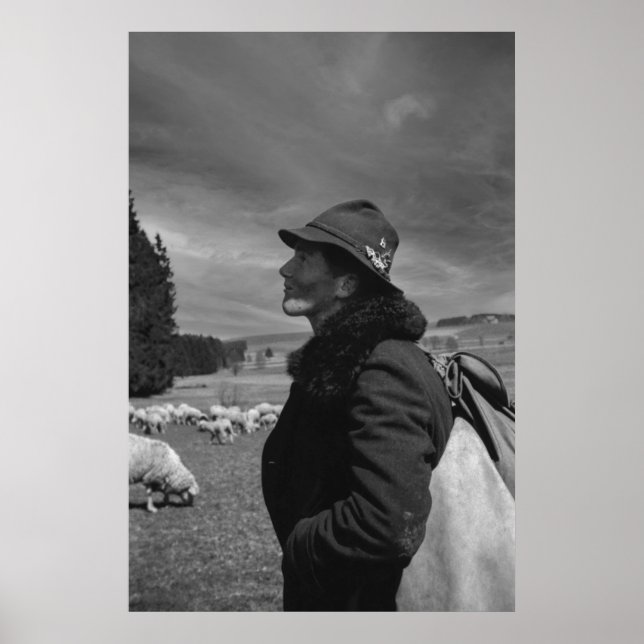 Black and White 1968 German Sheep Herder Poster (Front)