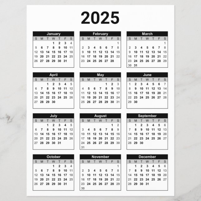 Black and White 2025 Year At A Glance Calendar Flyer (Front)