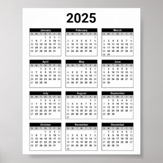 Black and White 2025 Year At A Glance Calendar Poster
