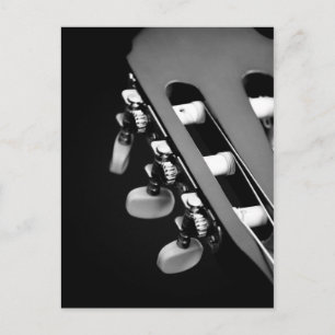 Black and White Acoustic Guitar Head Postcard