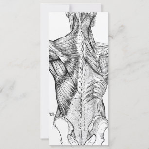 Black and White Anatomy Art Back Muscles (1890)