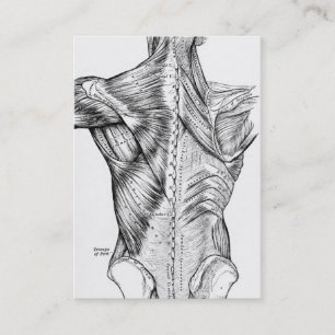 Black and White Anatomy Art Back Muscles (1890) Business Card
