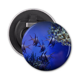 Black and White Angelfish in Deep Blue Sea Bottle Opener