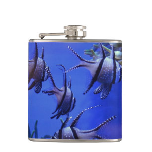 Black and White Angelfish in Deep Blue Sea Hip Flask