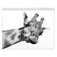 Black and White Animals
