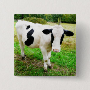 Black and White Apostrophe S Cow 15 Cm Square Badge