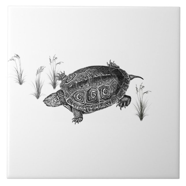 Black and White Aquatic Turtle Tile (Front)