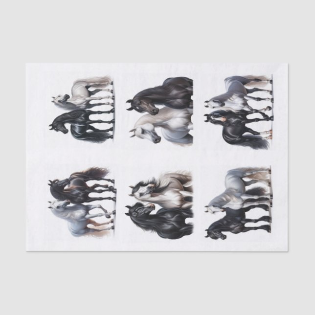 Black and White Arabian Horse Pairs Tissue Paper (Front)