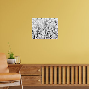 Black and White Art Bare Willow Trees Poster
