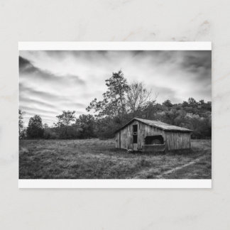 Black and White at Dawn Postcard