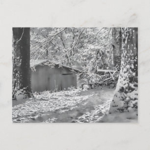 Black and White Backlit Rural Snow Scene Postcard