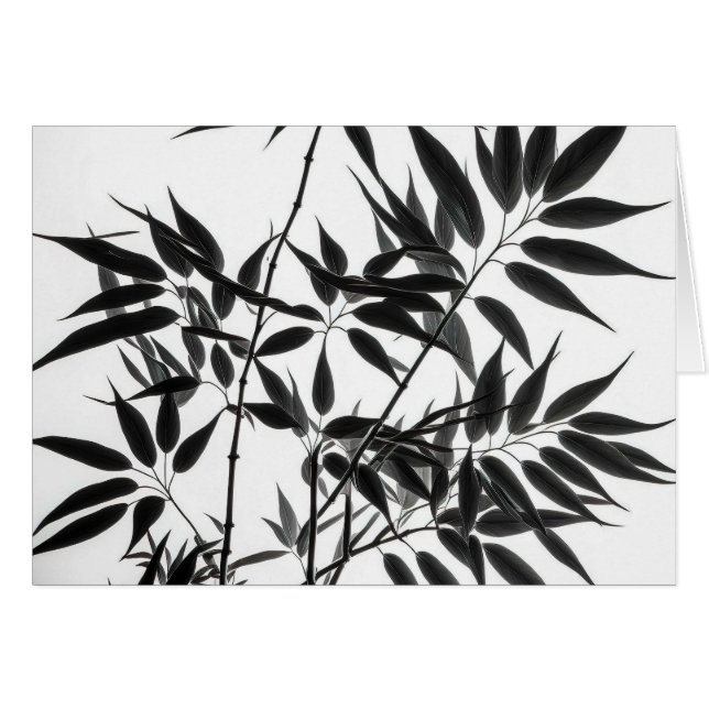 Black and White Bamboo Plant Blank inside (Front Horizontal)