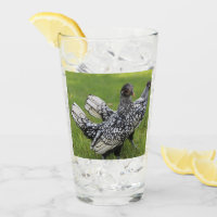 Black and White Bantam Chicken Collectors Beverage