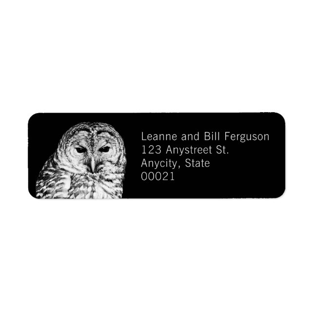 Black and White Barred Owl Nature Photography (Front)