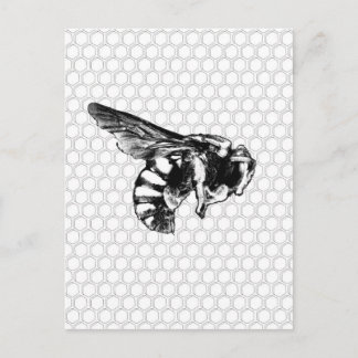 Black and White Bee Postcard