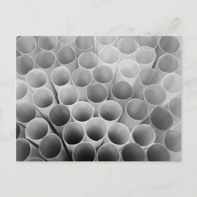 Black and White Bendy Straws Postcard (Front)