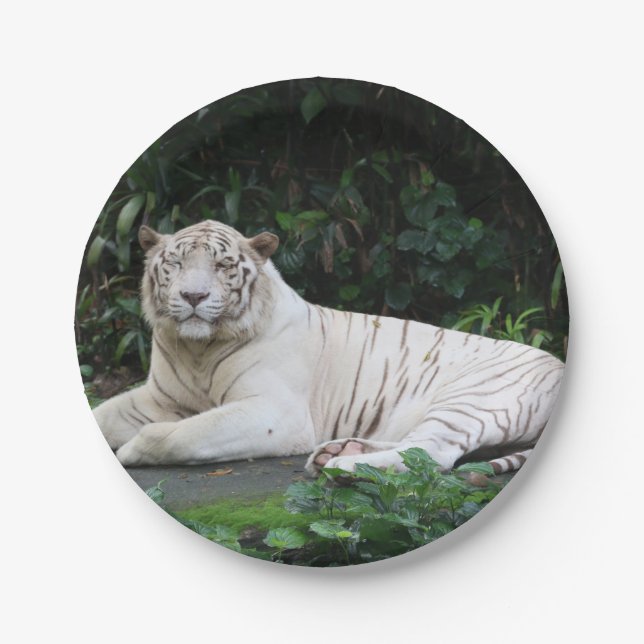 Black and White Bengal Tiger relaxed and smiling Paper Plate (Front)