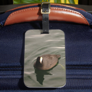 Black-and-White Bird American Coot Luggage Tag