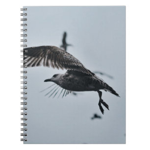 BLACK AND WHITE BIRD NOTEBOOK