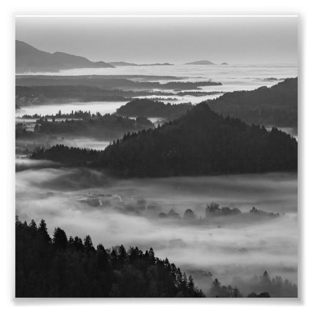 Black and White Bled Photo Print (Front)