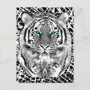 Black And White Blue Eyes Tiger Graphic Postcard