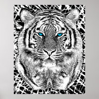 Black And White Blue Eyes Tiger Graphic